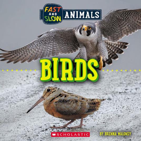 Birds (Wild World: Fast and Slow Animals) - Brenna Maloney - ebook
