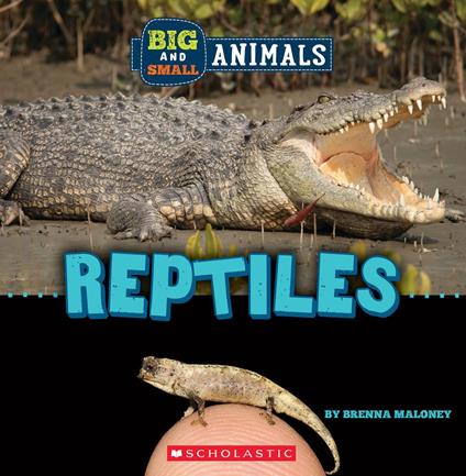 Reptiles (Wild World: Big and Small Animals) - Brenna Maloney - ebook