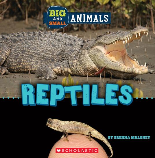 Reptiles (Wild World: Big and Small Animals) - Brenna Maloney - ebook