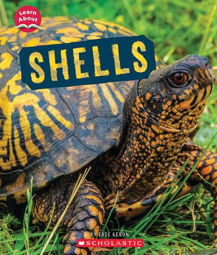 Shells (Learn About: Animal Coverings) - Eric Geron - ebook