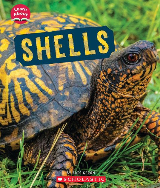 Shells (Learn About: Animal Coverings) - Eric Geron - ebook