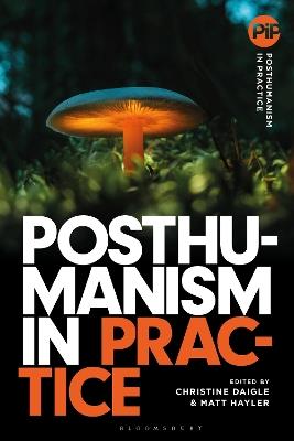 Posthumanism in Practice - cover