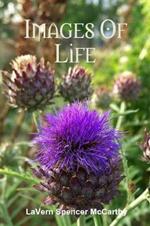 Images Of Life