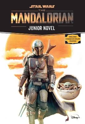 Star Wars: The Mandalorian Junior Novel - Joe Schreiber - cover