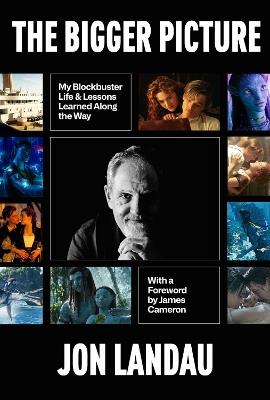 The Bigger Picture: My Blockbuster Life & Lessons Learned Along the Way - Jon Landau - cover