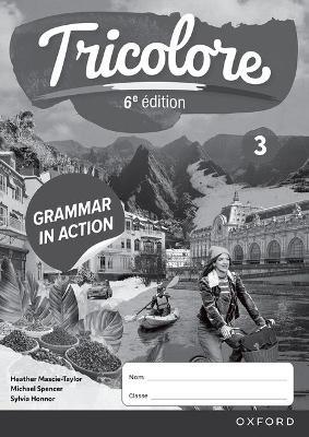 Tricolore 6e édition: Grammar in Action Workbook 3 (pack of 8) - cover