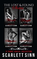 The Lost And Found Series: A Taboo Erotic Collection