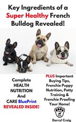 Key Ingredients of a Super Healthy French Bulldog Revealed