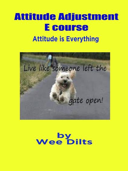 Attitude Adjustment E course