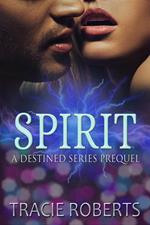 Spirit