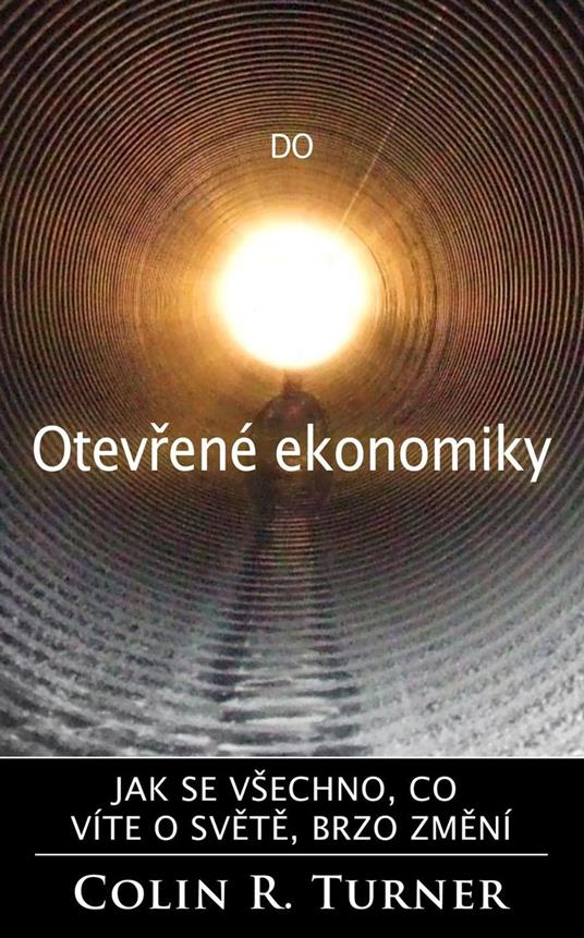 Do Otevrene ekonomiky - Colin R. Turner - ebook