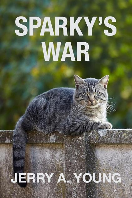 Sparky's War - Jerry A. Young - ebook