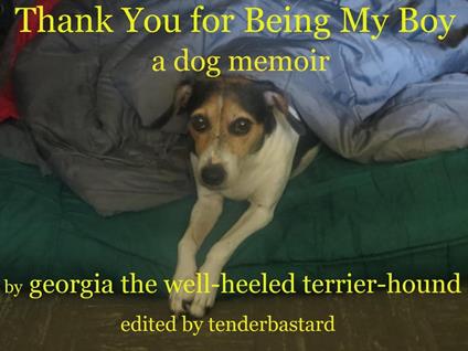 Thank You for Being My Boy - A Dog's Memoir
