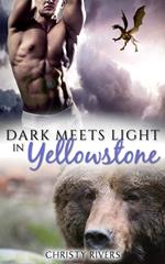 Dark Meets Light in Yellowstone