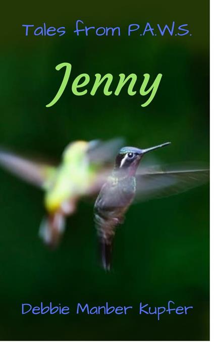 Jenny - Debbie Manber Kupfer - ebook