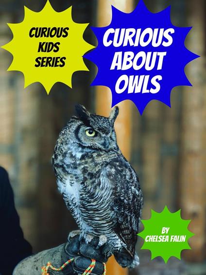 Curious About Owls - Chelsea Falin - ebook