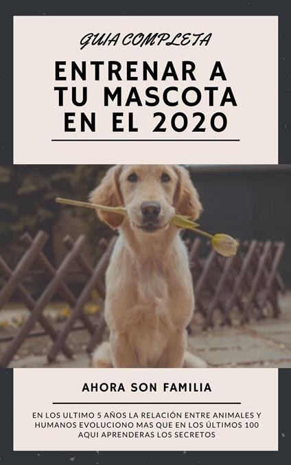 Guía Completa; Como Entrenar a Tu Mascota en el 2020