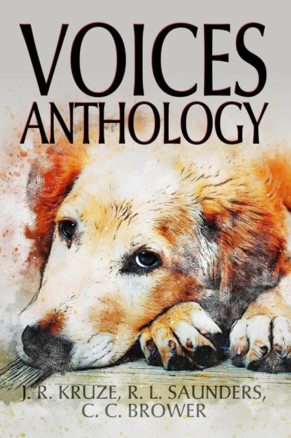 Voices Anthology - C. C. Brower,R. L. Saunders,J. R. Kruze - ebook