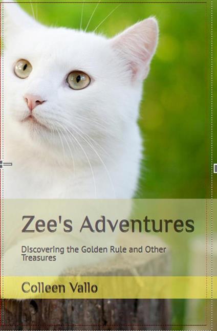 Zee's Adventures - Colleen Vallo - ebook