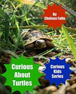 Curious About Turtles