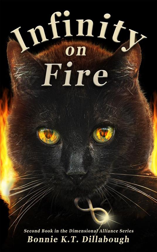Infinity on Fire - Bonnie K.T. Dillabough - ebook