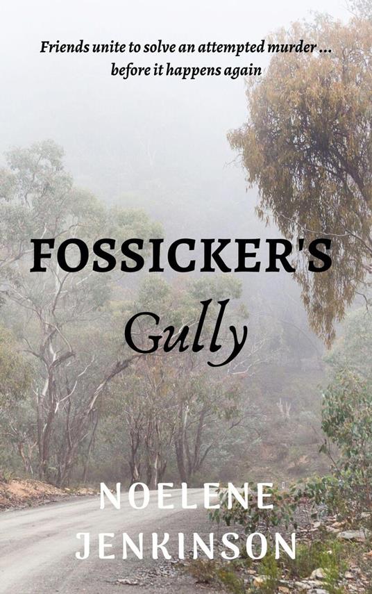 Fossicker's Gully