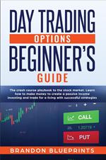 Day Trading Options Beginners Guide: the crash course playbook to the stock market. learn how to make money to create a passive income investing and trade for a living with successful strategies