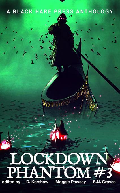 Phantom #3 - LOCKDOWN FREE FICTION AUTHORS - ebook