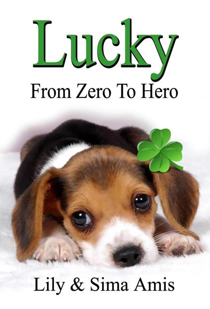 Lucky - From Zero to Hero - Lily Amis - ebook
