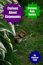 Curious About Chipmunks