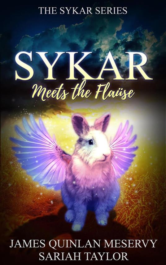 Sykar Meets the Flause - James Quinlan Meservy - ebook