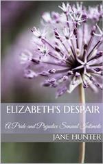 Elizabeth's Despair: A Pride and Prejudice Sensual Intimate Novella