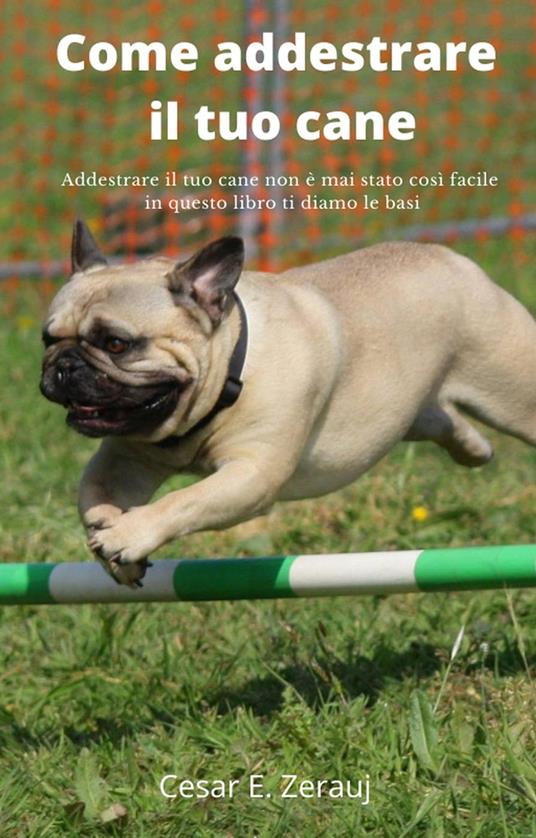 Come addestrare il tuo cane Addestrare il tuo cane non è mai stato così facile in questo libro ti diamo le basi - Cesar E. Zerauj,gustavo espinosa juarez - ebook