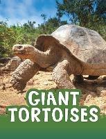 Giant Tortoises - Jaclyn Jaycox - cover