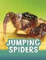 Jumping Spiders - Jaclyn Jaycox - cover