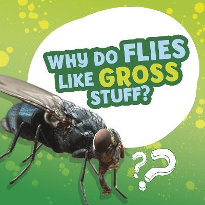 Why Do Flies Like Gross Stuff? - Ellen Labrecque - cover