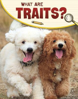 What Are Traits? - Emily Sohn - cover