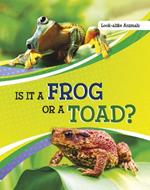 Is It a Frog or a Toad?