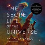 The Secret Life of the Universe