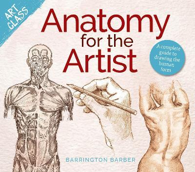 Art Class: Anatomy for the Artist: A complete guide to drawing the human form - Barrington Barber - cover