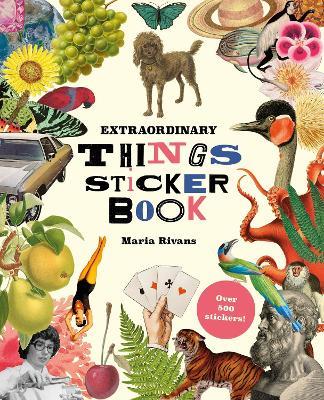Extraordinary Things Sticker Book - Maria Rivans - cover