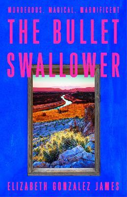 The Bullet Swallower - Elizabeth Gonzalez James - cover