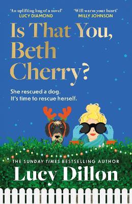 Is That You, Beth Cherry?: the warm and witty new novel from the author of Irresponsible Adult - Lucy Dillon - cover