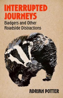 Interrupted Journeys: Badgers and Other Roadside Distractions - Adrian Potter - cover