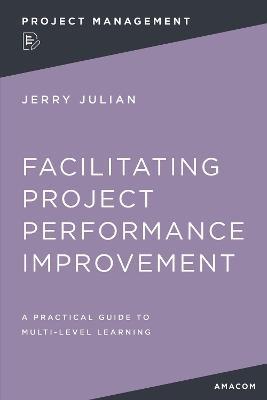 Facilitating Project Performance Improvement: A Practical Guide to Multi-Level Learning - Jerry JULIAN - cover