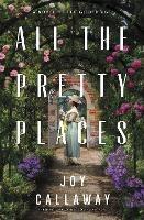All the Pretty Places: A Novel of the Gilded Age