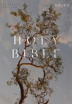 NRSV Catholic Edition Bible, Eucalyptus Paperback (Global Cover Series): Holy Bible