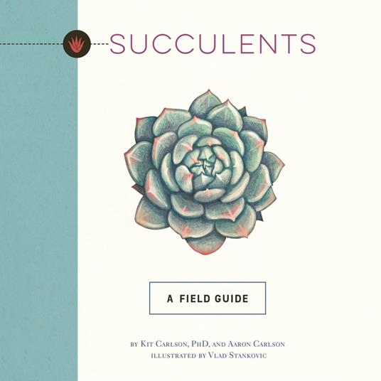 Succulents