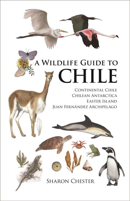 A Wildlife Guide to Chile