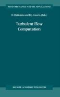 Turbulent Flow Computation - cover